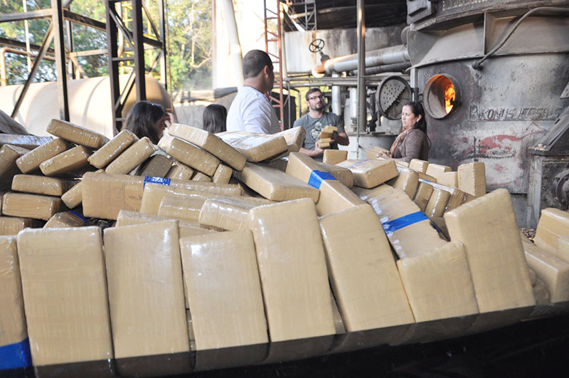 Maconha apreendida foi incinerada | Tribuna da Região